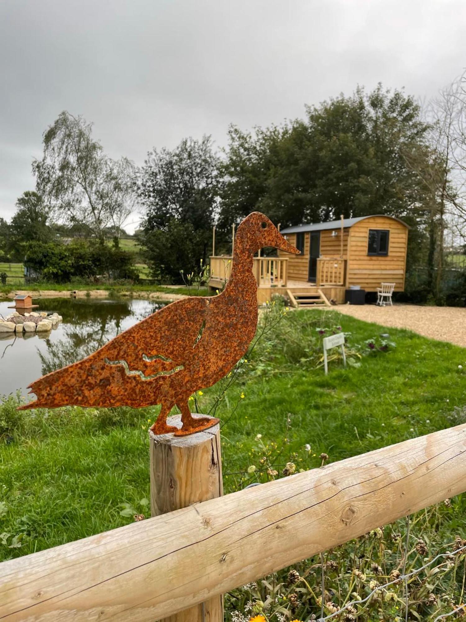 Rusty Duck Retreat Shepherds Hut Shedfield Exteriör bild